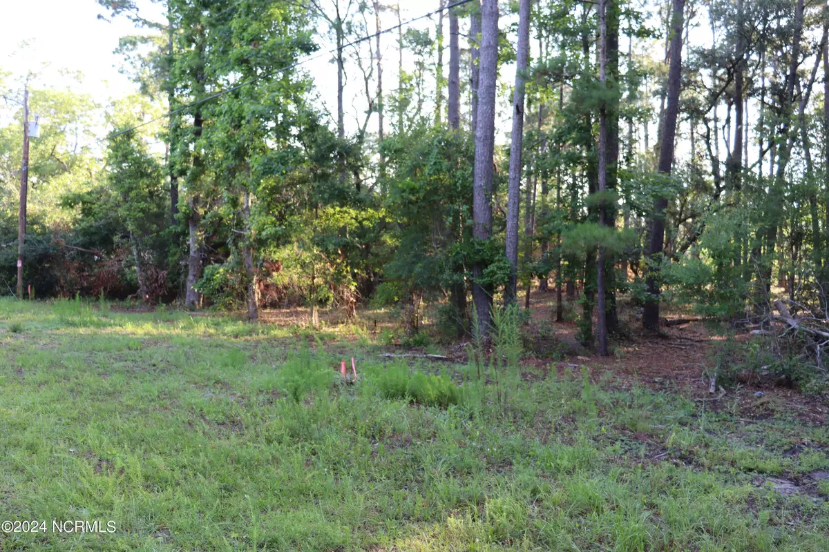 Boiling Spring Lakes, NC 28461,Lot 528 Redwood RD