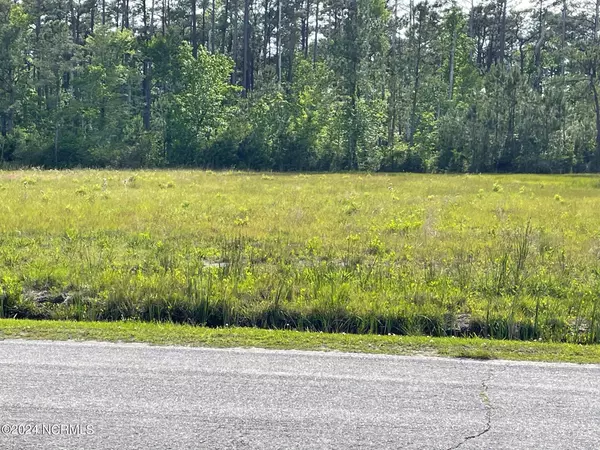 Sea Level, NC 28577,00 Nelson Neck RD