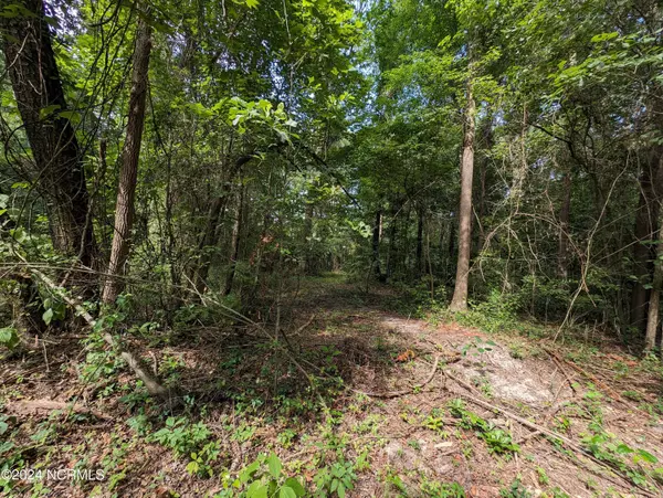 Clarkton, NC 28433,4498 Mercer Mill Brown Marsh RD