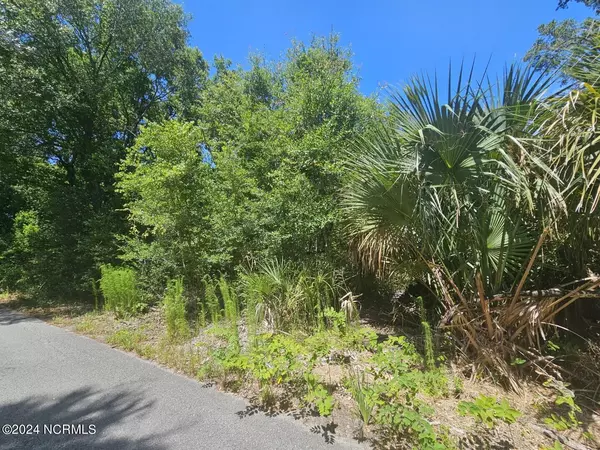 Bald Head Island, NC 28461,6 Red Bay CT