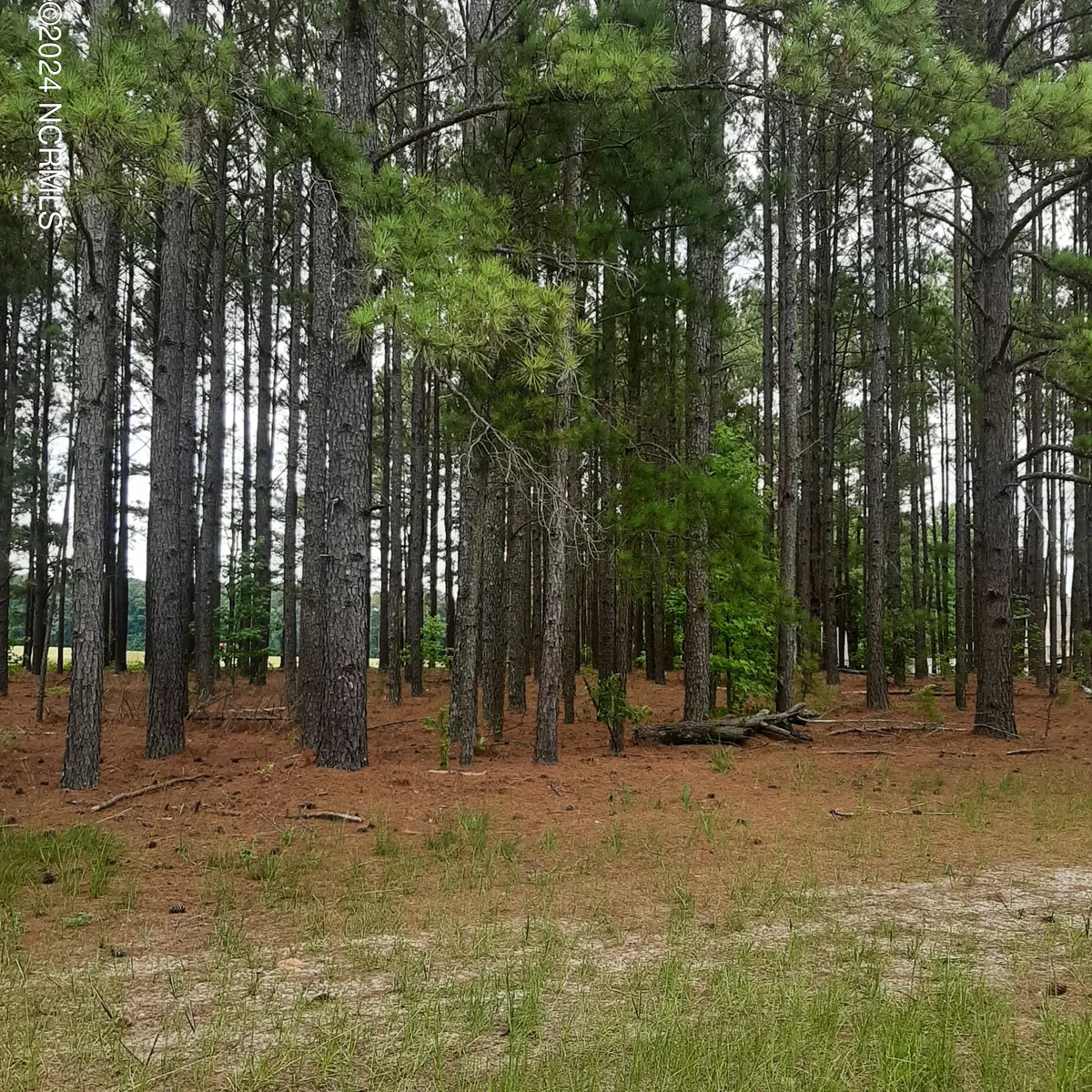 Bailey, NC 27807,Lot 1 Nc Hwy 581