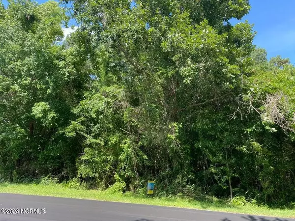 Hampstead, NC 28443,Lot 117 S Belvedere South DR