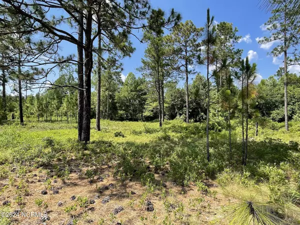 West End, NC 27376,Lot 3 Meredith LN