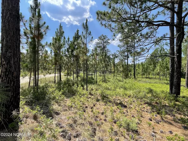 West End, NC 27376,Lot 3 Meredith LN