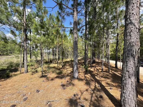 West End, NC 27376,Lot 3 Meredith LN