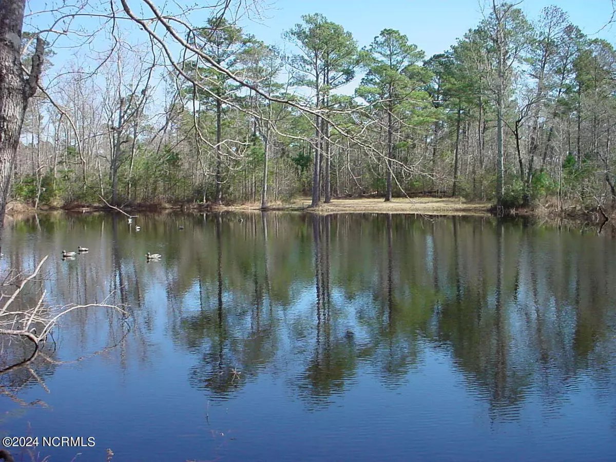 Rocky Point, NC 28457,Lot #1 Harts LN