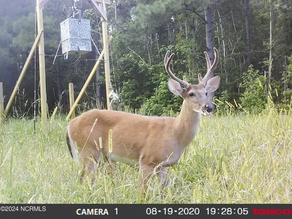 Rocky Point, NC 28457,Lot #1 Harts LN