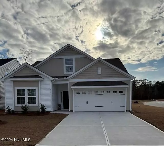 Castle Hayne, NC 28429,4334 Parsons Mill DR #Lot 249