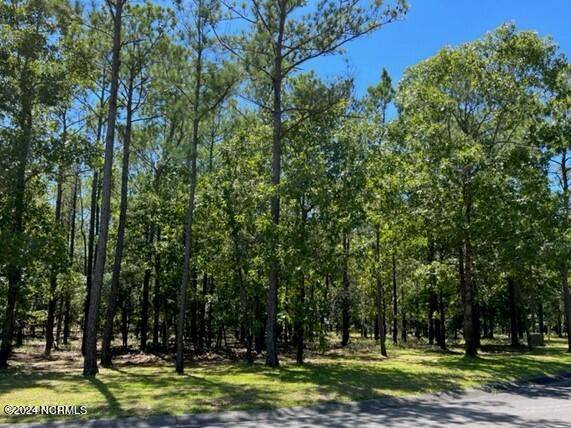 2907 Aranda GRV SE, Bolivia, NC 28422