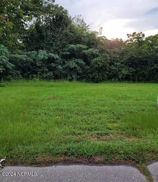 400 Beems ST, Mount Olive, NC 28365