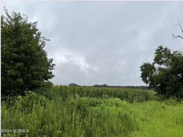 Autryville, NC 28318,02 Bullard Pit Circle CIR