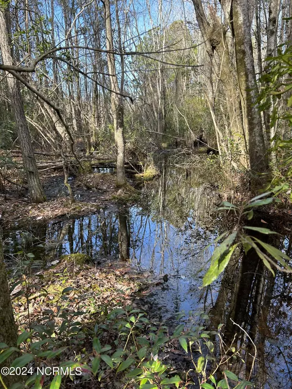 Hubert, NC 28539,326 Sand Ridge RD