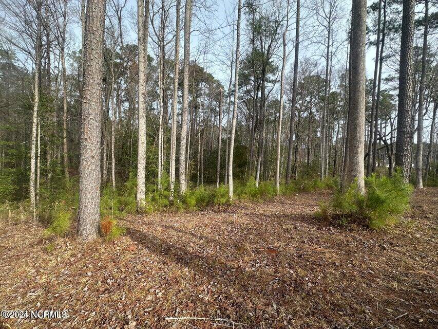 1007 Parchment BLF, New Bern, NC 28562