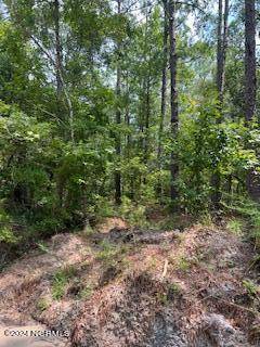 Bolivia, NC 28422,8.24 Acres Britts Cove SE