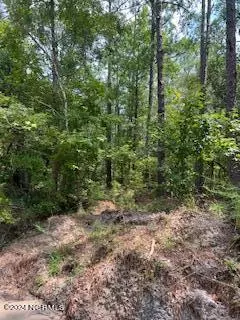 Bolivia, NC 28422,8.24 Acres Britts Cove SE