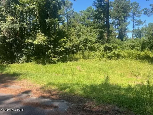 Whiteville, NC 28472,0 Pine LN