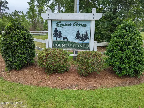 Rocky Point, NC 28457,Lot 13 Equine Acres State 210 HWY