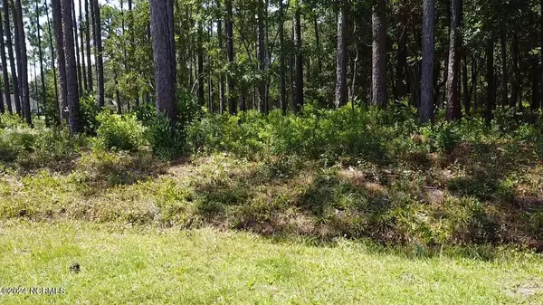 Lot 51 Windemere, Southport, NC 28461