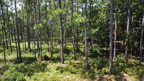 Southport, NC 28461,Lot 51 Windemere