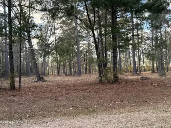 Belhaven, NC 27810,Lot 94 Bailey Pointe DR