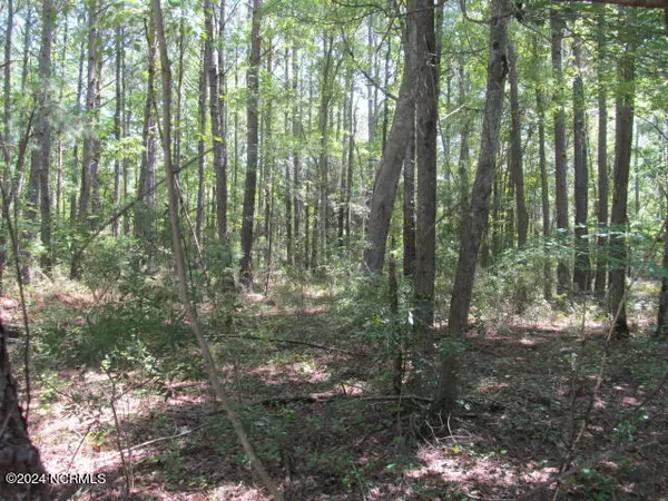 Belhaven, NC 27810,Lot 12 Stillwater DR