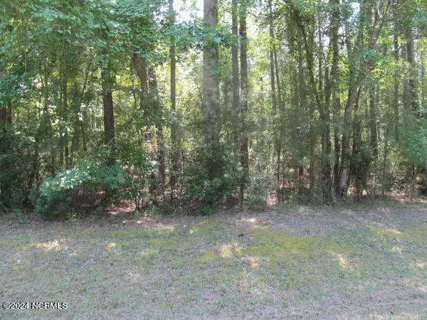 Belhaven, NC 27810,Lot 12 Stillwater DR