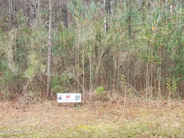 Lot 55 Eagle Nest TRL, Blounts Creek, NC 27814