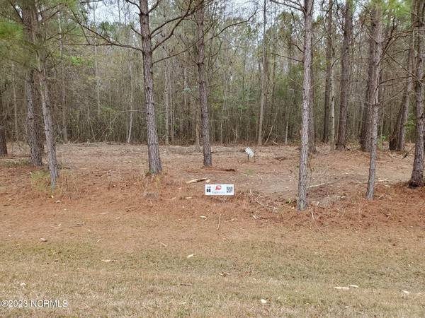 Lot 80 Eagle Trace DR,  Blounts Creek,  NC 27814