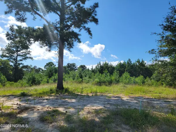 Sunset Beach, NC 28468,7427 Donegal CIR SW