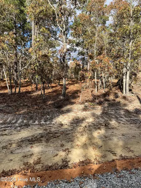 Lot 4 Hartsell LN, Jackson Springs, NC 27281