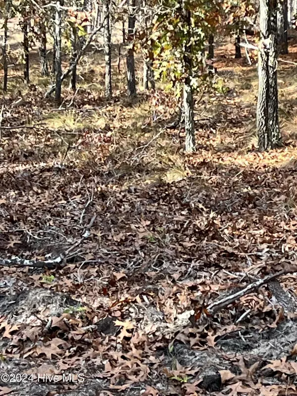 Jackson Springs, NC 27281,Lot 4 Hartsell LN