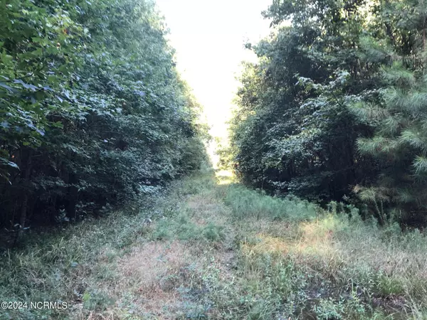 Trenton, NC 28585,0 Plantation RD