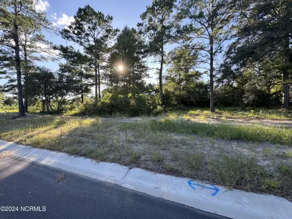 Sunset Beach, NC 28468,7421 Donegal CIR SW