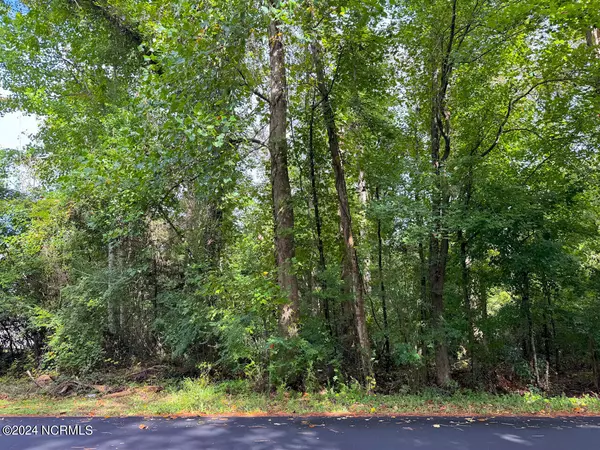 Hampstead, NC 28443,Lot 142 Belvedere South DR