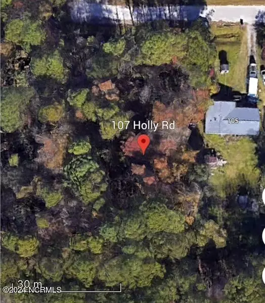 107 Holly Street RD, Castle Hayne, NC 28429