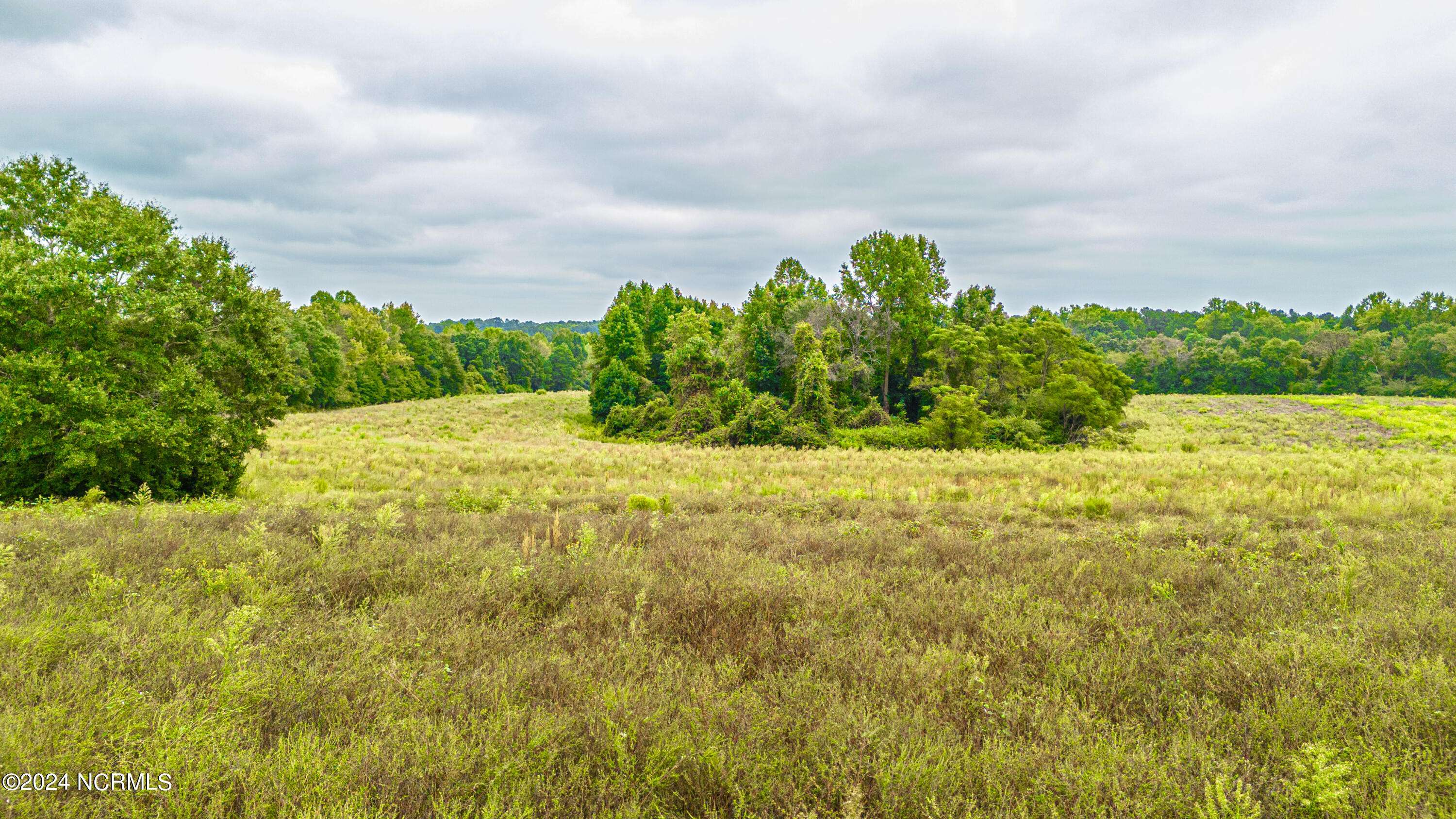 Carthage, NC 28327,1099 Ring RD