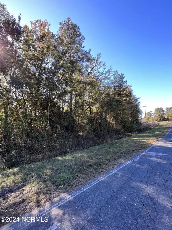 Wallace, NC 28466,Tbd Bull Tail RD