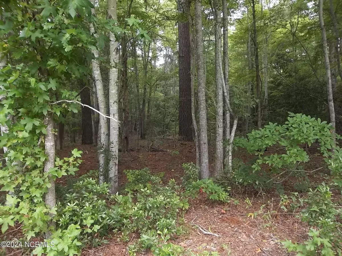 Grandy, NC 27939,Tbd N River Landing RD