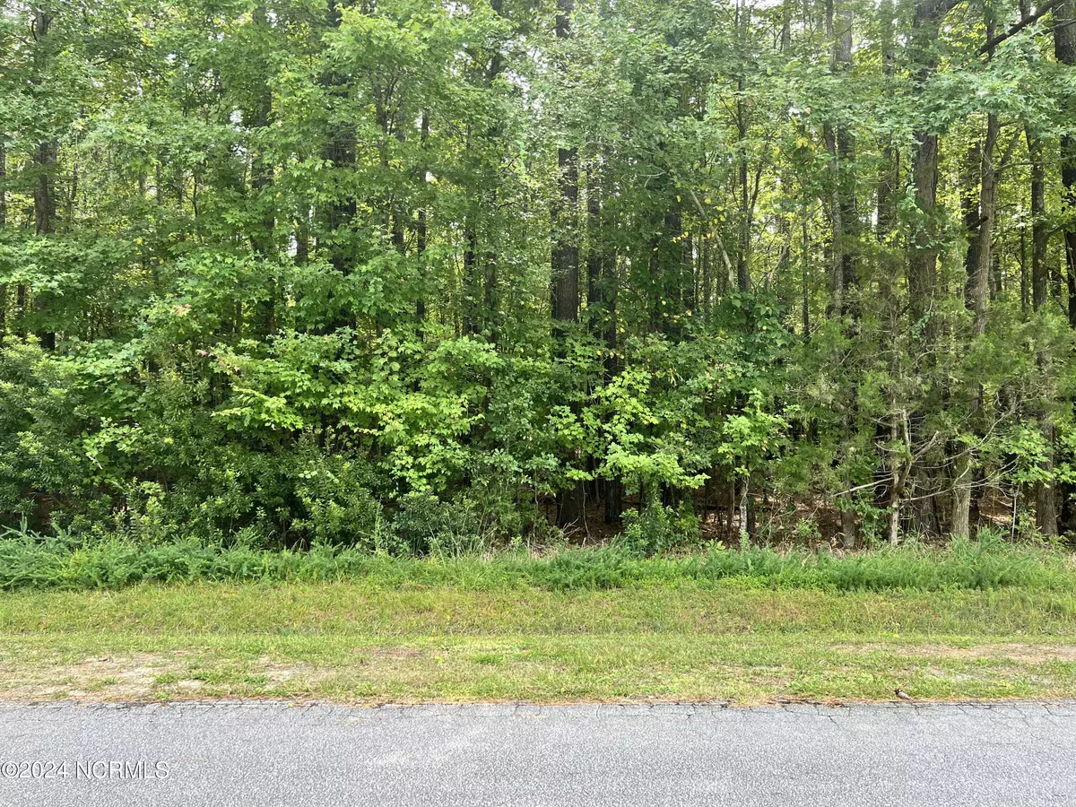 Blounts Creek, NC 27814,Lot 19 Hill'S Point