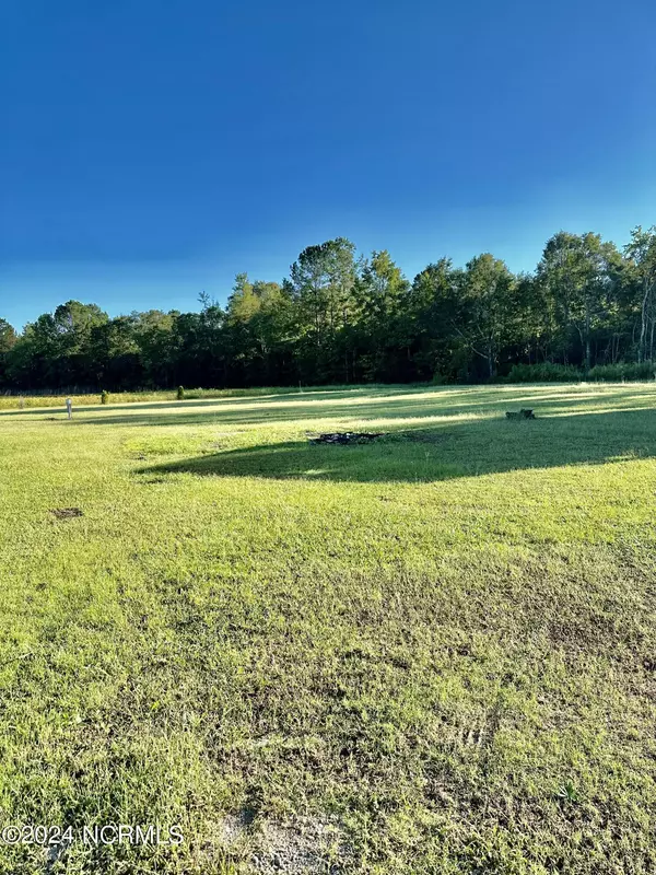 Nakina, NC 28455,1502 Manley Smith RD