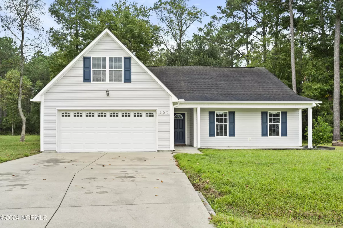 Richlands, NC 28574,203 Wagon CT