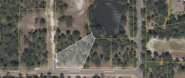 Lot 3 Snow Goose DR, Shallotte, NC 28470