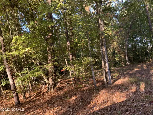 Shiloh, NC 27974,106 Bay Roads LN