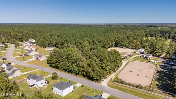 Burgaw, NC 28425,00 Hawk Hollow TRL