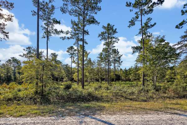 Rocky Point, NC 28457,Lot 24 Equine Landing DR