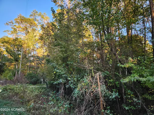 Burgaw, NC 28425,000 River Bend DR