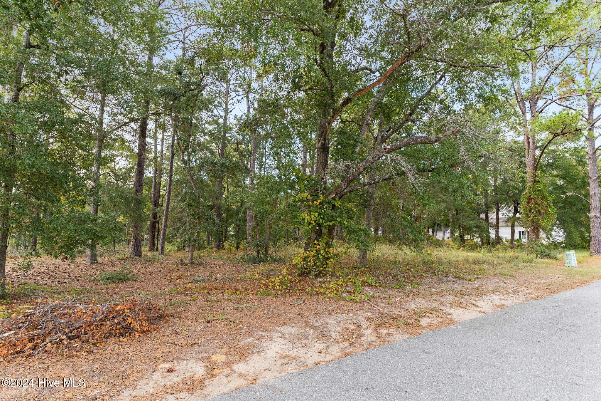 Supply, NC 28462,2737 Bellamy DR SW