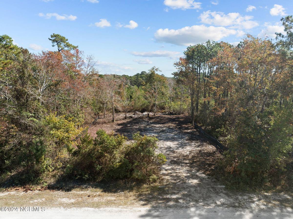 Boiling Spring Lakes, NC 28461,361 Sunset RD