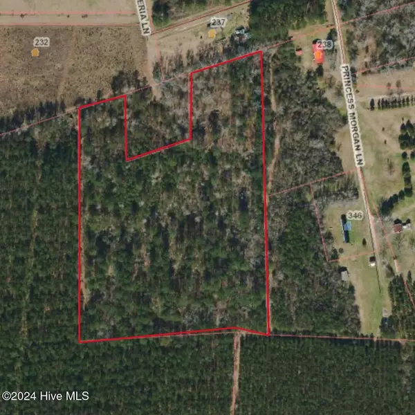 Willard, NC 28478,11.5 Acres Ernest Valeria LN