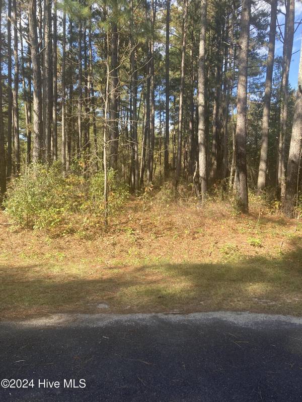 Lot 67 Bucknell LN, Laurinburg, NC 28352